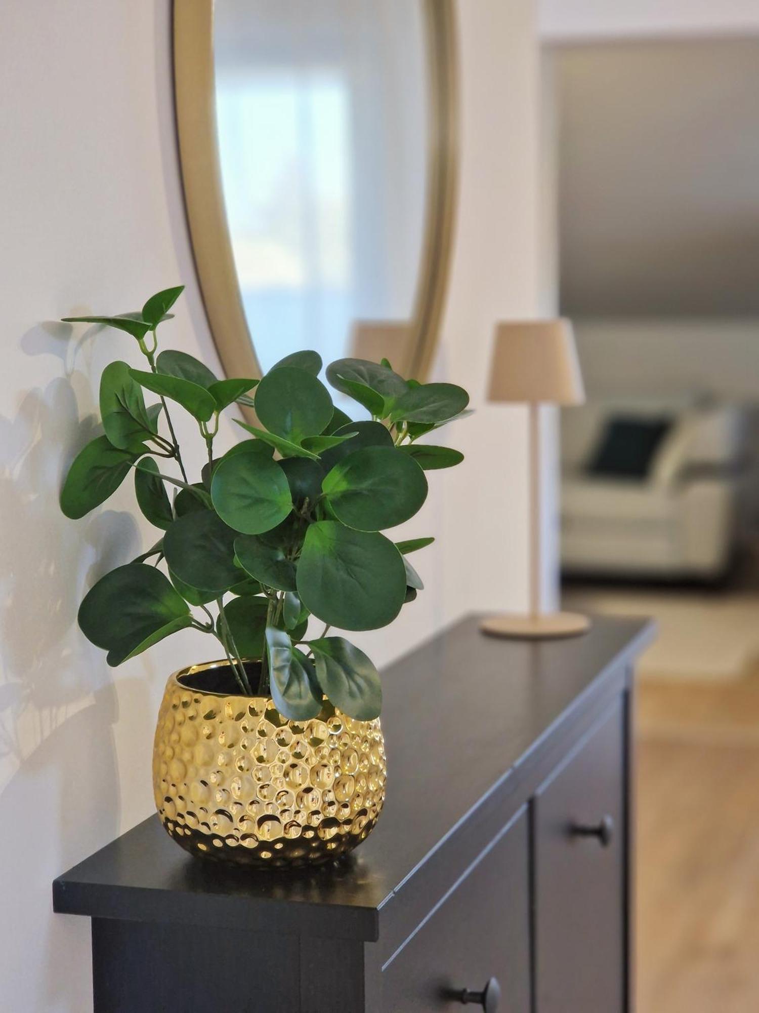 Apartments Jasna Ровинь Экстерьер фото